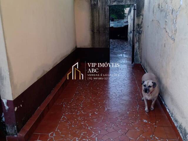 #203 - Casa para Venda em Santo André - SP - 3